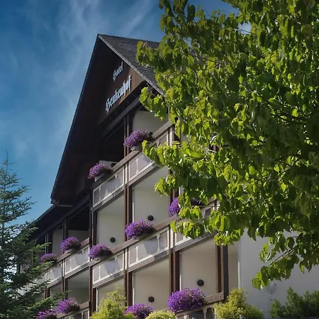 Landhotel Henkenhof 3*