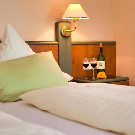 Henkenhof 3* Виллинген