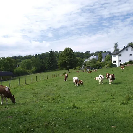 Hotel Henkenhof Willingen 3*