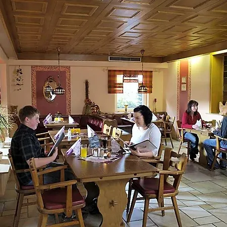 Hotel Henkenhof Willingen (Upland)