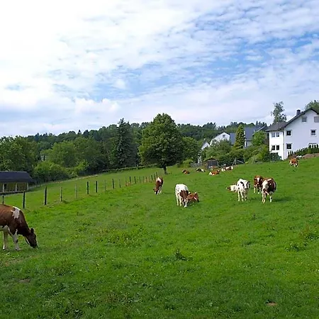 Henkenhof 3* Willingen (Upland)