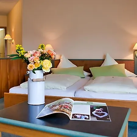 Henkenhof Hotel Willingen (Upland)