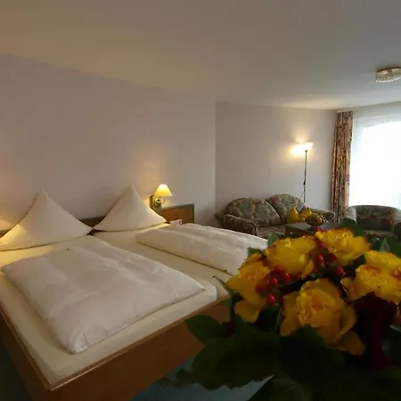 Hotel Landhotel Henkenhof Willingen (Upland)