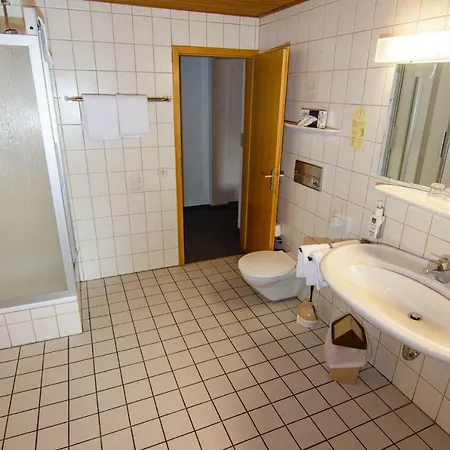 Henkenhof 3* Виллинген