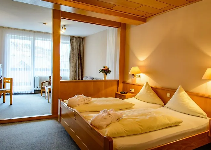 Henkenhof 3* Willingen (Upland)